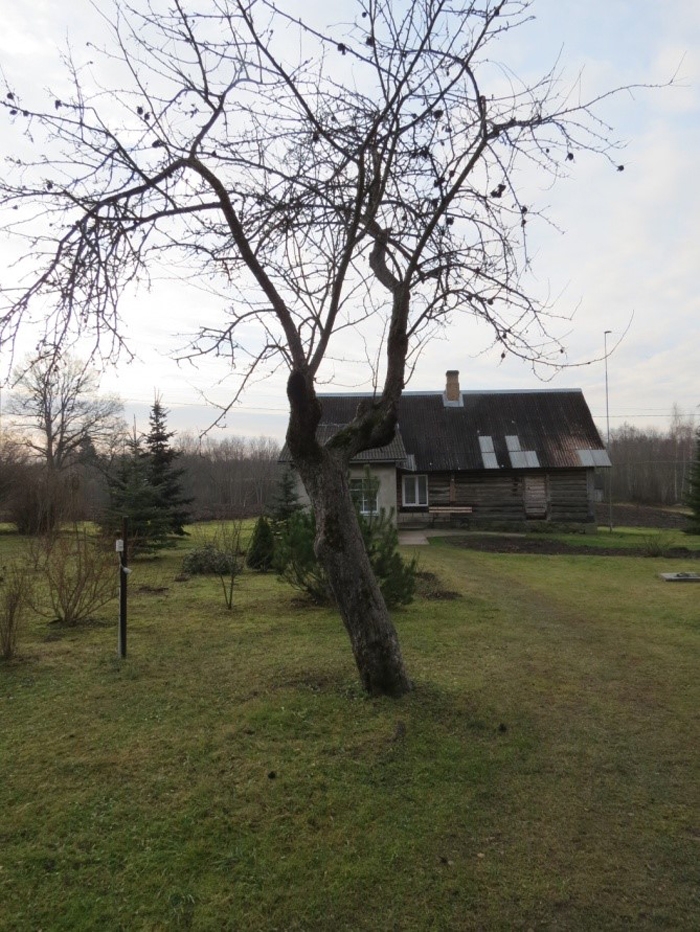 20160627_aabele.jpg