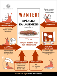 Informācija par Spānijas kailgliemeža izplatības ierobežošanu