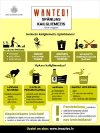 Informācija par Spānijas kailgliemeža izplatības ierobežošanu