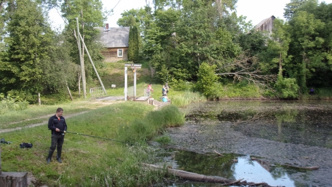 20180602_Pelecu_pagasta_svetki001.jpg