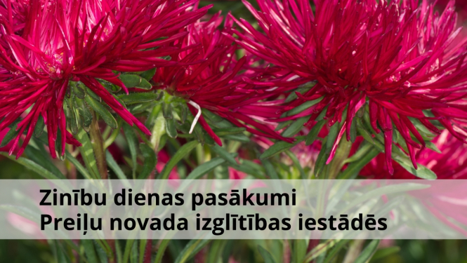 Zinību dienas pasākumi Preiļu novada izglītības iestādēs