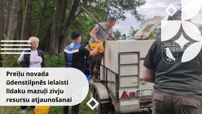 Preiļu novada ūdenstilpnēs ielaisti līdaku mazuļi zivju resursu atjaunošanai