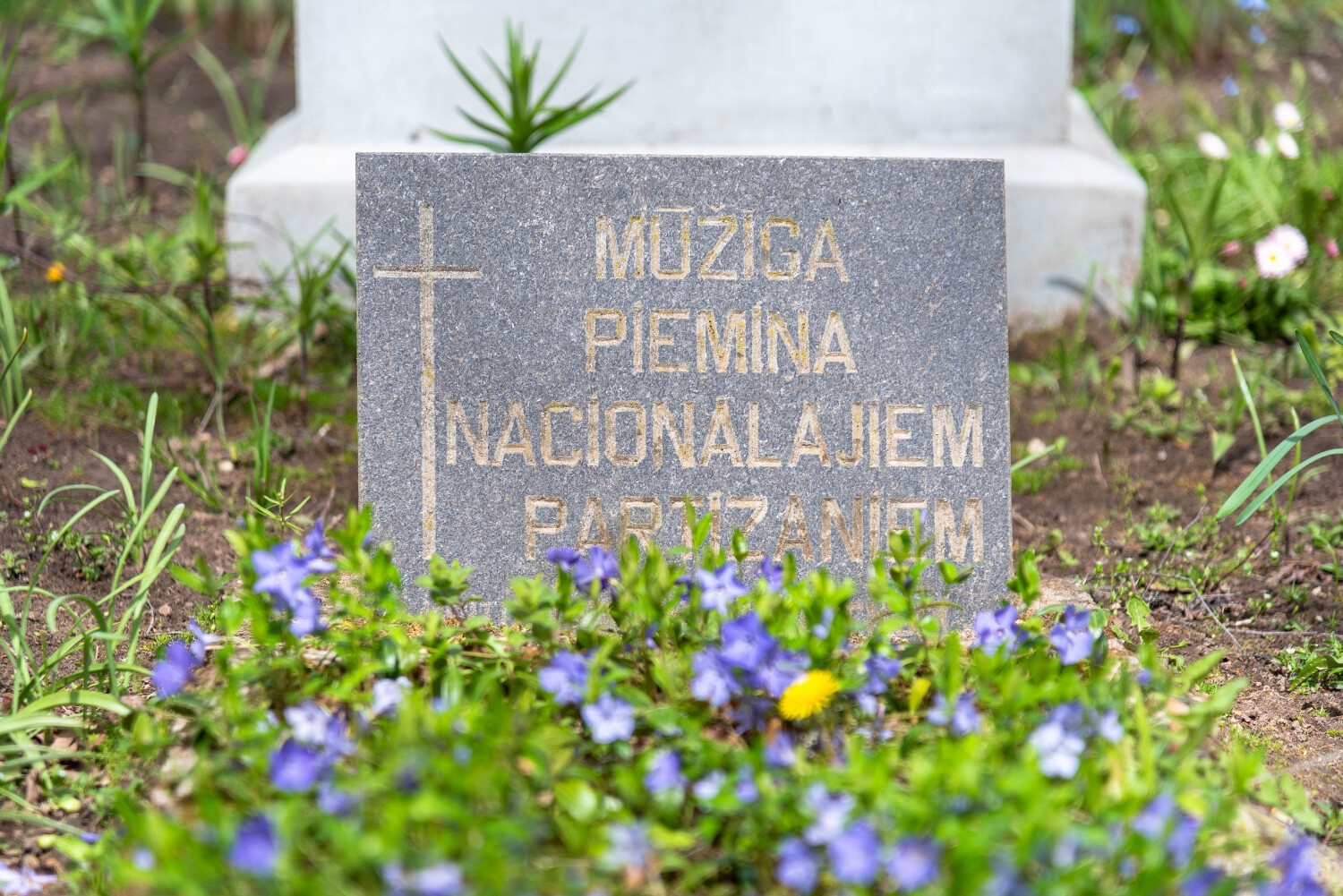 Segvārds Vientulis – izlaušanās spēle Vanagos – vieta, kur vēsture kļūst par personisku pieredzi