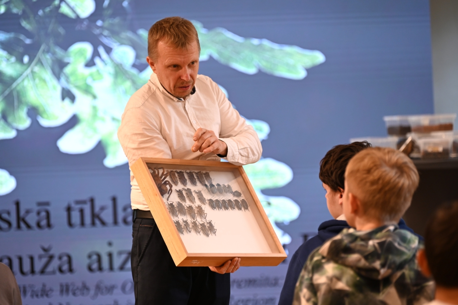 Preiļu muižas kompleksa un parka teritorijā tiek realizēts projekts "Meža dienas 2026"