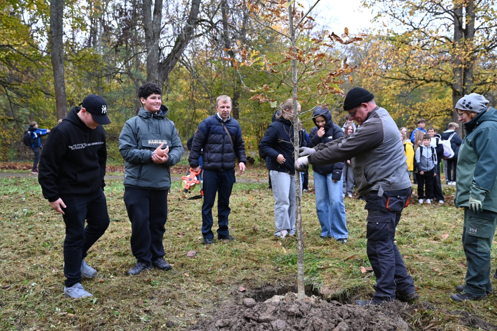 Preiļu muižas kompleksa un parka teritorijā tiek realizēts projekts "Meža dienas 2026"