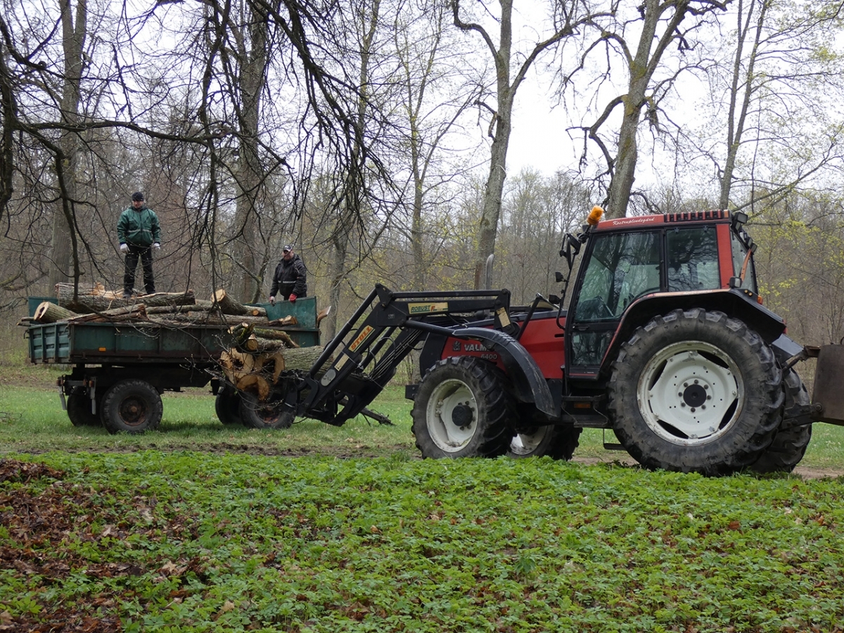 20180428_talka_078.jpg