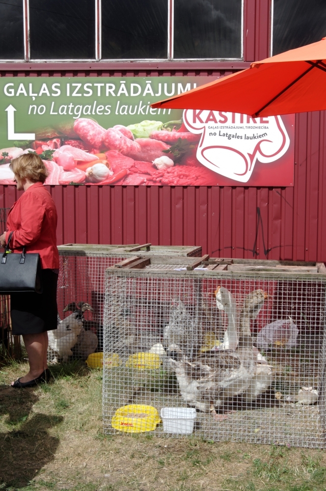 20180622_Zalu_tirgus_9.jpg