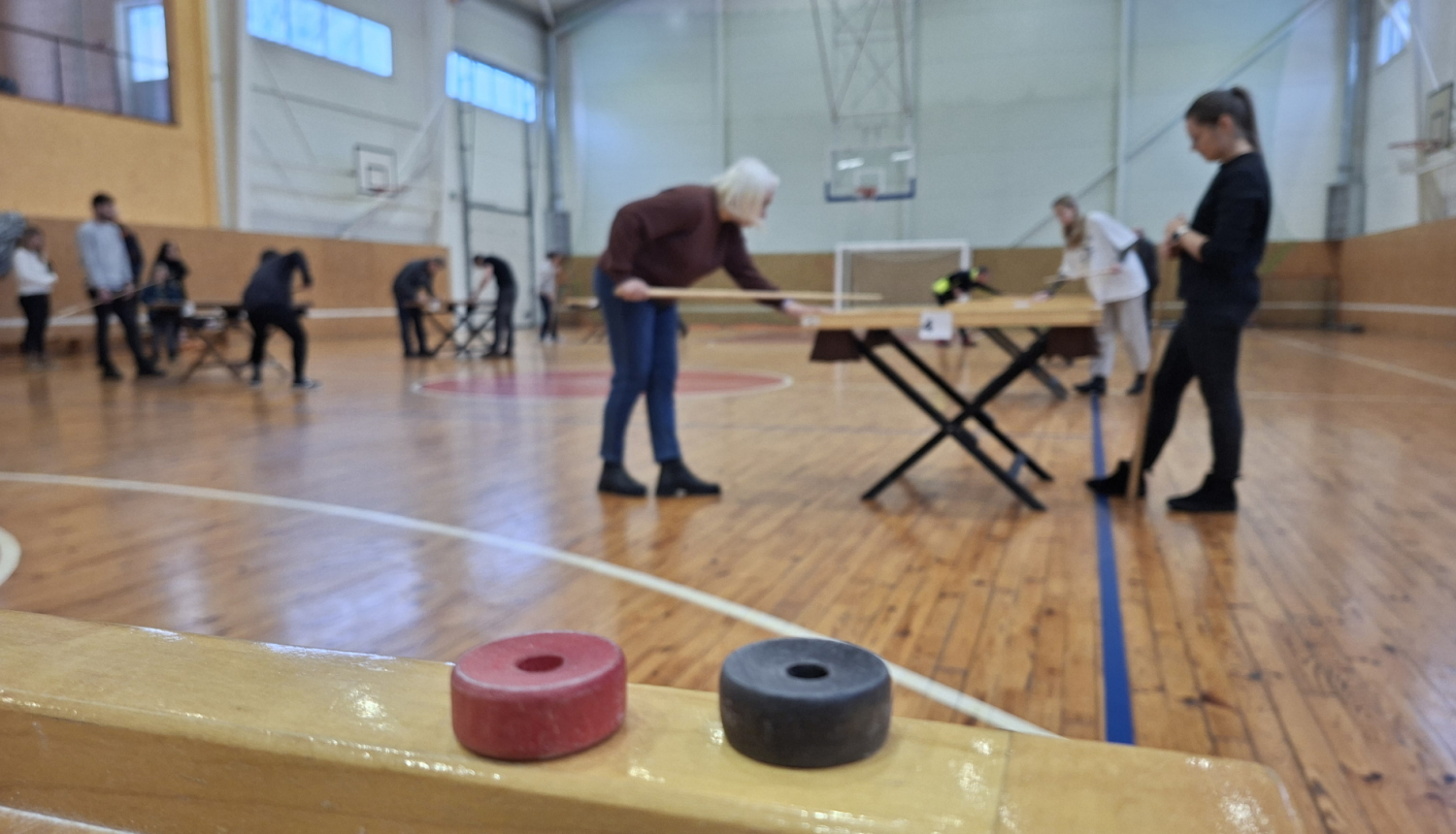Novusa čempionāts