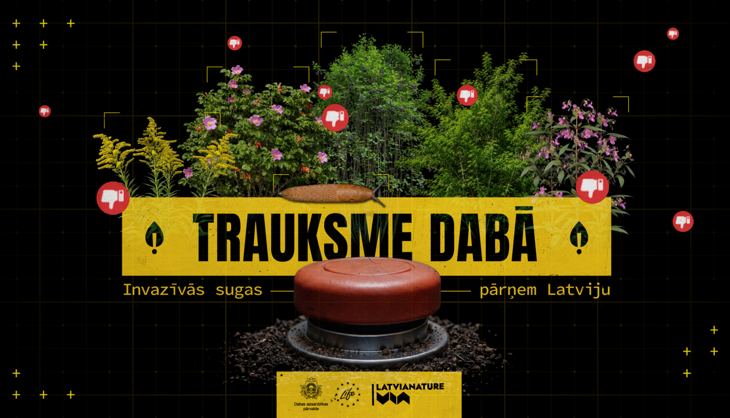 “Trauksme dabā. Invazīvās sugas pārņem Latviju” – ar īsfilmu sēriju Dabas aizsardzības pārvalde aicina pievērst uzmanību un ierobežot invazīvās sugas
