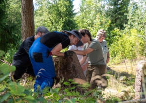 Riebiņos projekta “Riebiņu ebreju kapsētas sakopšanas aktivitātes” ietvaros uzsākti ebreju kapsētas sakopšanas darbi