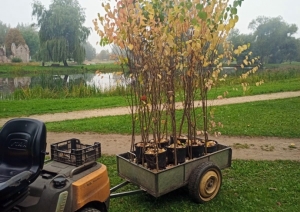 Preiļu parks