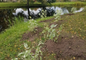 Preiļu parks