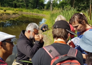 Preiļu parks - unikāla teritorija sūnu un ķērpju daudzveidības ziņā