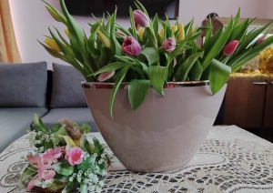 SAC “Rušona” atzīmē Starptautisko sieviešu dienu