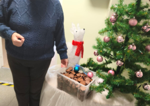 Piparkūku smarža un sirds siltums SAC "Aglona"