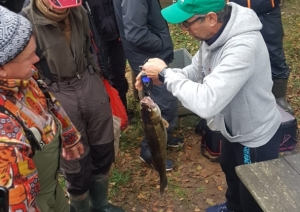 Noslēdzies Preiļu novada čempionāts spiningošanā 2023