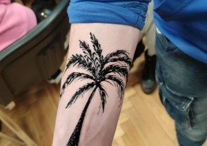 hennas meistarklase 