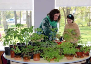 pavasara-aktivitate-projekta-darbigas-kopienas-foto-jolanta-upeniece-004-1024x683.jpg