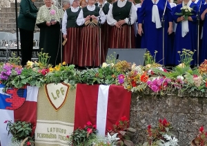 vislatvijas-senioru-sadziedasanas-svetki-cesis-22-augusta-005.jpg