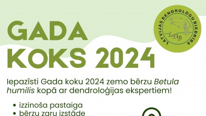 Izglītojošs pasākums Pelēču ezera purvā, iepazīstot Gada koku 2024