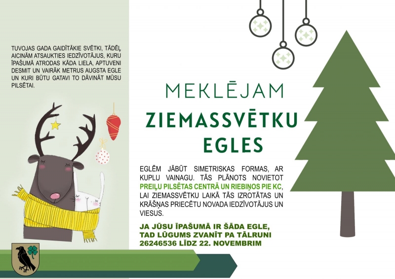 Meklējam Ziemassvētku egles