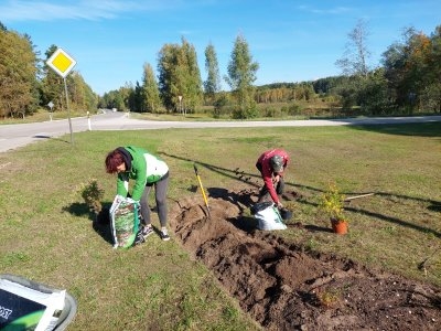 projekts “Mana pietura – Pelēči”