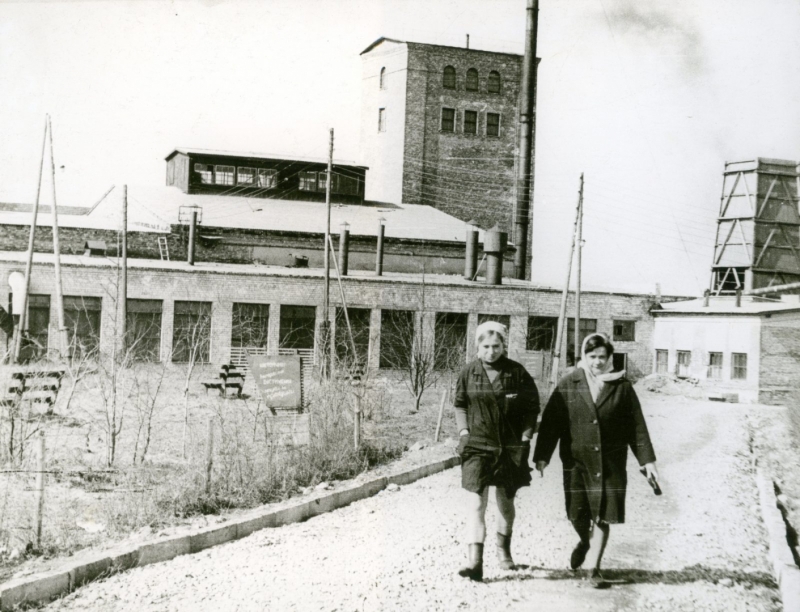 Preiļu linu fabrikas darbinieces. 1978. g.