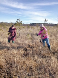 Projekta “Open Landscape” ietvaros notika apmācību seminārs par mitrāju un purvu apsaimniekošanu