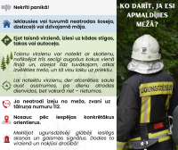  VUGD aicina sēņot, ogot un pastaigāties mežā droši un pārdomāti