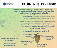 Latvijas Vides, ģeoloģijas un meteoroloģijas centrs aicina sniegt ziņas par parastā ozola augļu (zīļu) nogatavošanās sākumu Preiļu novadā