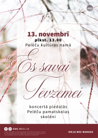 Koncerts "Es savai tēvzemei"