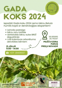 Izglītojošs pasākums Pelēču ezera purvā, iepazīstot Gada koku 2024