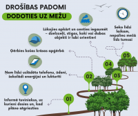 VUGD aicina sēņot, ogot un pastaigāties mežā droši un pārdomāti