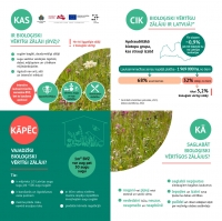 Lai sargātu vērtīgos zālājus, veidos jaunus dabas liegumus