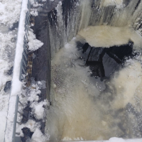 Skaidrojums par situāciju ar zivīm Preiļu parka dīķos 