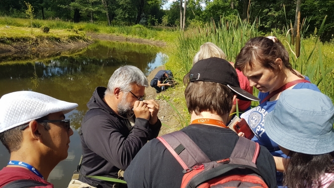 Preiļu parks - unikāla teritorija sūnu un ķērpju daudzveidības ziņā