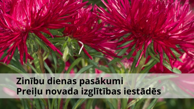 Zinību dienas pasākumi Preiļu novada izglītības iestādēs