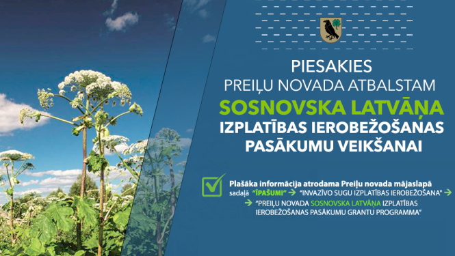 Sosnovska latvāņu ierobežošanas pasākumi Preiļu novada pašvaldības teritorijās 2025. gadā