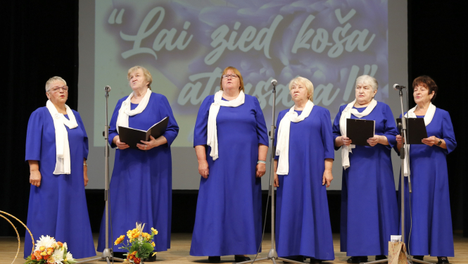 Starptautiskajai Senioru dienai veltīts pasākums Preiļos