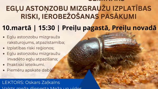 Seminārs “Egļu astoņzobu mizgrauža izplatības riski, ierobežošanas pasākumi”