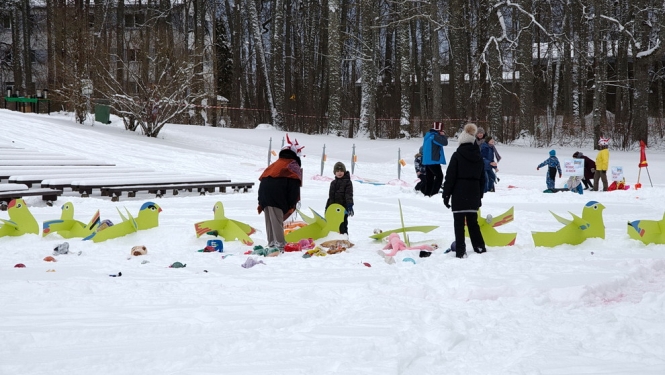 nac-ziemas-prieka-piku-uztaisit-026.jpg