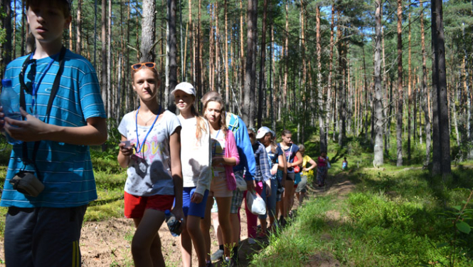 Projekta aktivitātes attēls