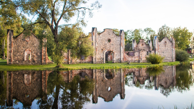 Projekta aktivitātes attēls