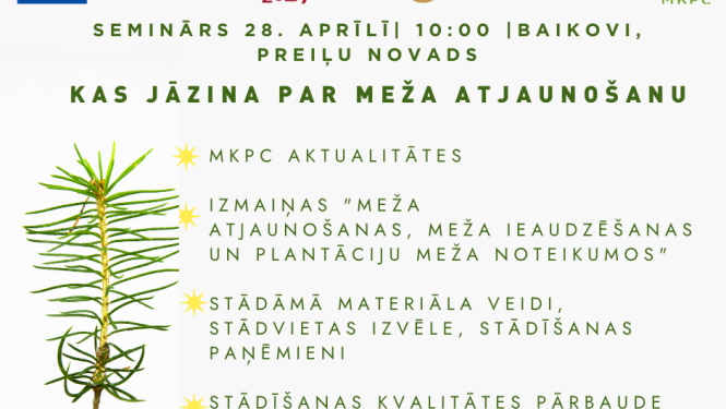 Seminārs “Kas jāzina par meža atjaunošanu” 