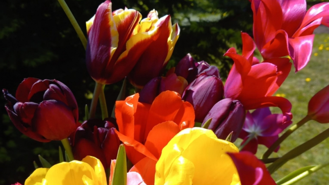 Mātes dienas norises SAC “Aglona”