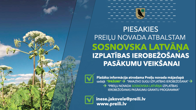 Piesakies pašvaldības atbalstam Sosnovska latvāņa izplatības ierobežošanas pasākumu veikšanai!