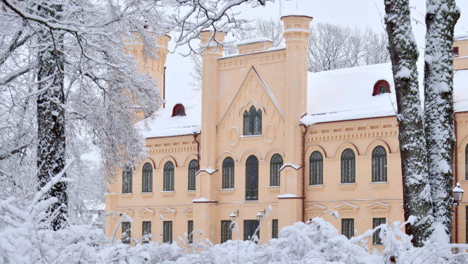 Aptaujas par Preiļu pils attīstības virzieniem rezultāti