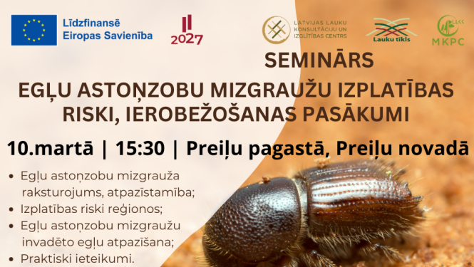 Seminārs “Egļu astoņzobu mizgrauža izplatības riski, ierobežošanas pasākumi”