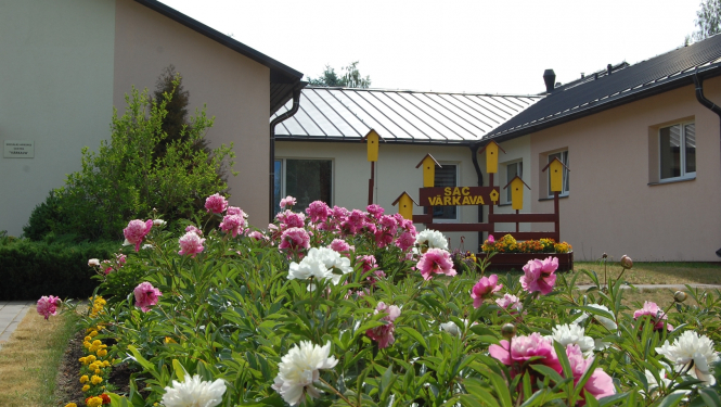 SAC "Vārkava" priecē klientus ar peonijām un topošo podologu pakalpojumiem