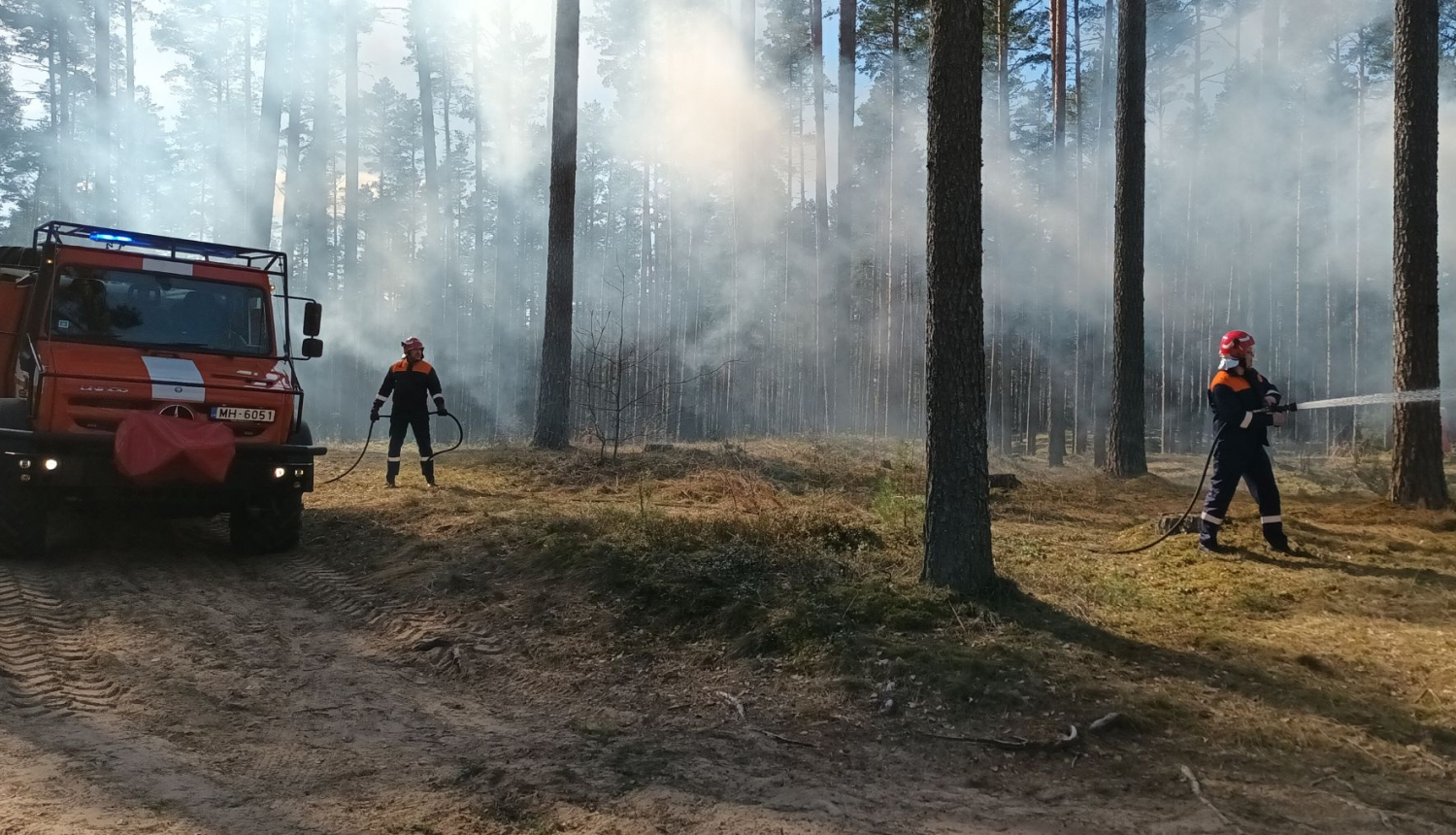 Meža ugunsnedrošais laikposms sākas 1. maijā